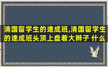 清国留学生的速成班,清国留学生的速成班头顶上盘着大辫子 什么修辞